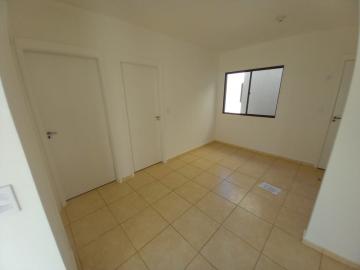 imagem 5 - Apartamento de 42m² com 02 quartos para locação - Jardim José Wilson Toni imagem 5 - Apartamento de 42m² com 02 quartos para locação - Jardim José Wilson Toni