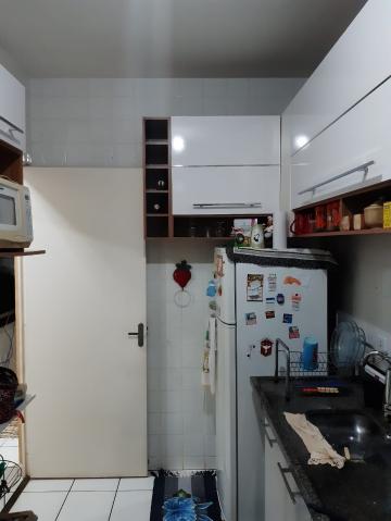 imagem 5 - Apartamento - Padrão imagem 5 - Apartamento - Padrão