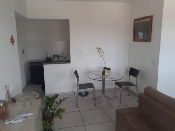 imagem 2 - Apartamento - Padrão imagem 2 - Apartamento - Padrão
