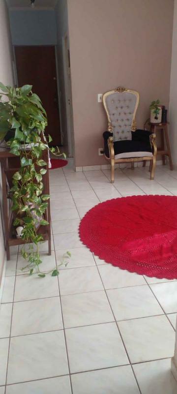 imagem 2 - Apartamento - Padrão imagem 2 - Apartamento - Padrão