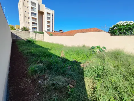 imagem 2 - Terreno de 270m² para locação e venda - Jardim Califórnia imagem 2 - Terreno de 270m² para locação e venda - Jardim Califórnia