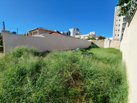 imagem 3 - Terreno de 270m² para locação e venda - Jardim Califórnia imagem 3 - Terreno de 270m² para locação e venda - Jardim Califórnia