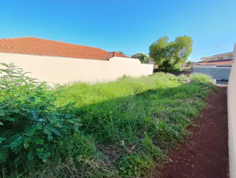 imagem 4 - Terreno de 270m² para locação e venda - Jardim Califórnia imagem 4 - Terreno de 270m² para locação e venda - Jardim Califórnia