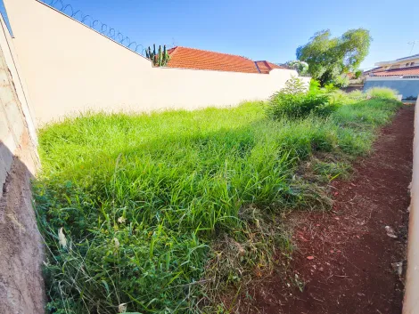 imagem 5 - Terreno de 270m² para locação e venda - Jardim Califórnia imagem 5 - Terreno de 270m² para locação e venda - Jardim Califórnia