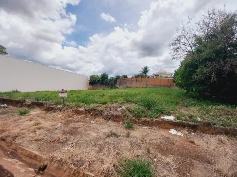 imagem 2 - Terreno - Padrão imagem 2 - Terreno - Padrão