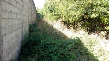 imagem 1 - TERRENO A VENDA NA VILA VIRGÍNIA imagem 1 - TERRENO A VENDA NA VILA VIRGÍNIA