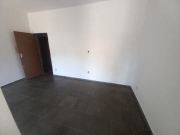 imagem 3 - Kit para locação - Centro imagem 3 - Kit para locação - Centro