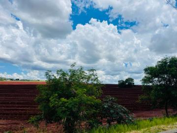 imagem 4 - Terreno de 18.000m² à venda - Recreio Anhanguera imagem 4 - Terreno de 18.000m² à venda - Recreio Anhanguera