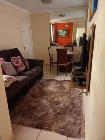 imagem 2 - Apartamento - Padrão imagem 2 - Apartamento - Padrão