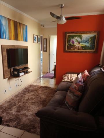 imagem 3 - Apartamento - Padrão imagem 3 - Apartamento - Padrão