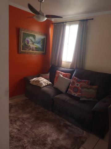 imagem 1 - Apartamento - Padrão imagem 1 - Apartamento - Padrão