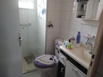 imagem 5 - Apartamento - Padrão imagem 5 - Apartamento - Padrão
