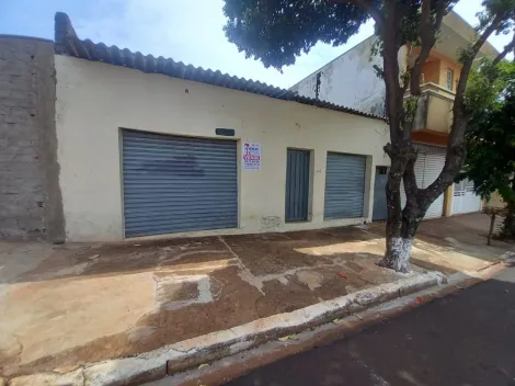 imagem 1 - Terreno Próximo a Avenida Dom Pedro I imagem 1 - Terreno Próximo a Avenida Dom Pedro I