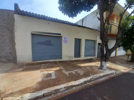 imagem 4 - Terreno Próximo a Avenida Dom Pedro I imagem 4 - Terreno Próximo a Avenida Dom Pedro I