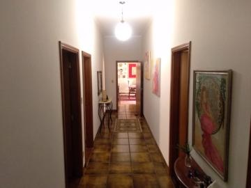 Alugar Casas / Padrão em Ribeirão Preto R$ 9.000,00 - Foto 12