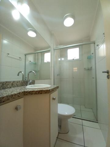 imagem 4 - Apartamento de 02 quartos para locação - Ana Maria imagem 4 - Apartamento de 02 quartos para locação - Ana Maria