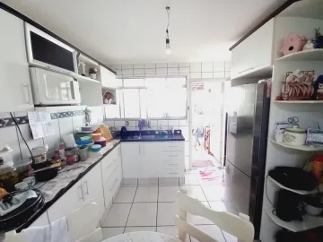 imagem 3 - CASAS E SALÃO COMERCIAL PRÓXIMO À AVENIDA DOM PEDRO I imagem 3 - CASAS E SALÃO COMERCIAL PRÓXIMO À AVENIDA DOM PEDRO I