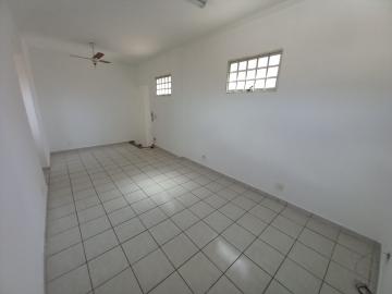 imagem 3 - Comercial padrão - Casa comercial imagem 3 - Comercial padrão - Casa comercial