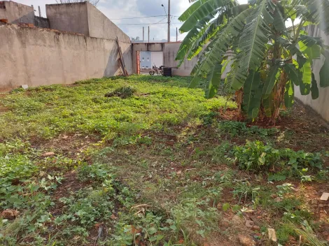 imagem 2 - Terreno de 222m² à venda - Jardinópolis imagem 2 - Terreno de 222m² à venda - Jardinópolis