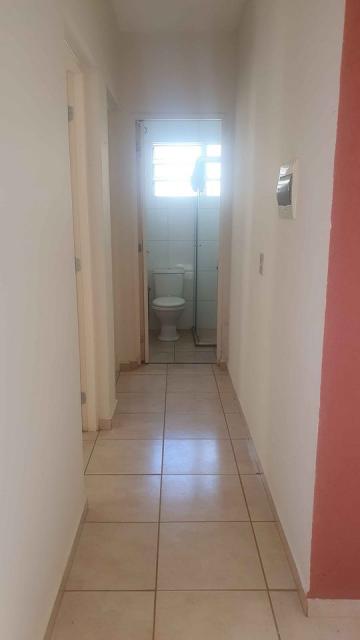 imagem 5 - APARTAMENTO NO PARQUE RIBEIRÃO imagem 5 - APARTAMENTO NO PARQUE RIBEIRÃO