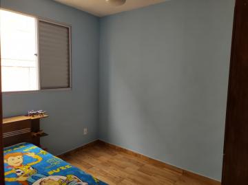 imagem 3 - Apartamento - Padrão imagem 3 - Apartamento - Padrão