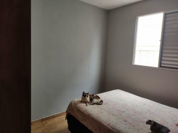 imagem 4 - Apartamento - Padrão imagem 4 - Apartamento - Padrão