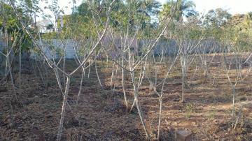 imagem 2 - Terreno - Padrão imagem 2 - Terreno - Padrão