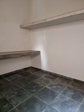 imagem 5 - Casa - Padrão imagem 5 - Casa - Padrão