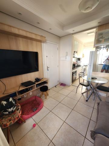 imagem 1 - Apartamento - Padrão imagem 1 - Apartamento - Padrão