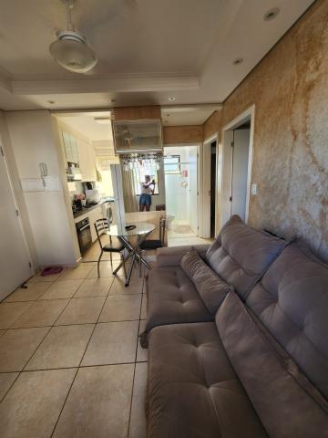 imagem 3 - Apartamento - Padrão imagem 3 - Apartamento - Padrão