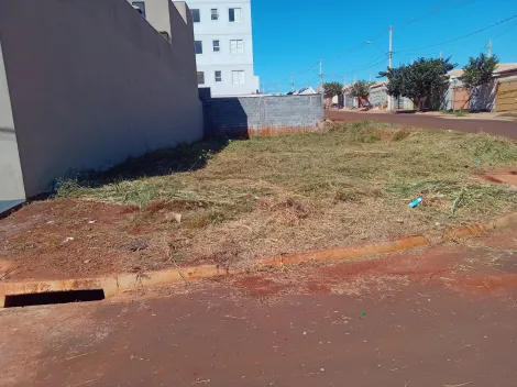 imagem 4 - Terreno com 240m² á venda - Reserva Macaúba imagem 4 - Terreno com 240m² á venda - Reserva Macaúba