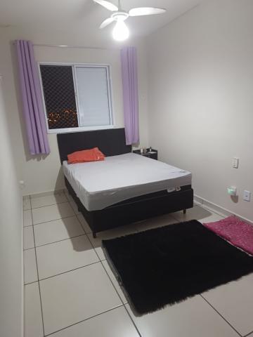 imagem 4 - APARTAMENTO A VENDA NO PLANALTO VERDE imagem 4 - APARTAMENTO A VENDA NO PLANALTO VERDE