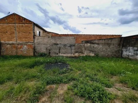 imagem 1 - Terreno de 182m² com muro á venda - Jardim Diva Tarla de Carvalho imagem 1 - Terreno de 182m² com muro á venda - Jardim Diva Tarla de Carvalho