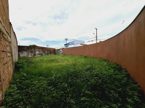 imagem 3 - Terreno de 182m² com muro á venda - Jardim Diva Tarla de Carvalho imagem 3 - Terreno de 182m² com muro á venda - Jardim Diva Tarla de Carvalho