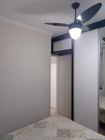 imagem 5 - Apartamento - Padrão imagem 5 - Apartamento - Padrão