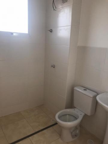 imagem 5 - APARTAMENTO NO JARDIM DIVA TARLÁ DE CARVALHO imagem 5 - APARTAMENTO NO JARDIM DIVA TARLÁ DE CARVALHO