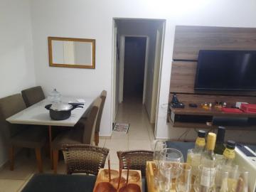 imagem 1 - Apartamento - Padrão imagem 1 - Apartamento - Padrão