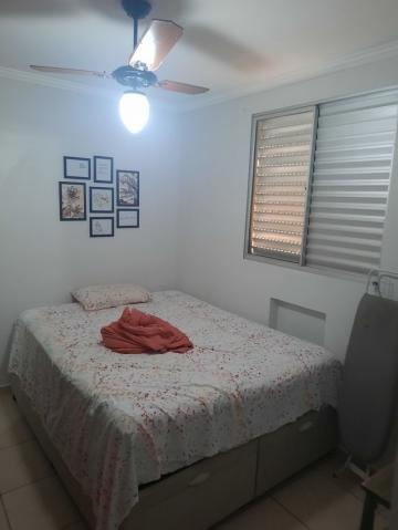 imagem 5 - Apartamento - Padrão imagem 5 - Apartamento - Padrão