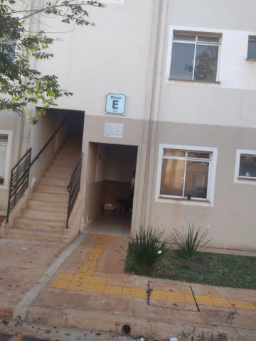 imagem 5 - Apartamento - Padrão imagem 5 - Apartamento - Padrão