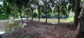 imagem 2 - Ótima Área em Sertãozinho Para Incorporação imagem 2 - Ótima Área em Sertãozinho Para Incorporação