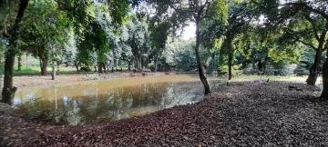 imagem 4 - Ótima Área em Sertãozinho Para Incorporação imagem 4 - Ótima Área em Sertãozinho Para Incorporação