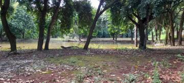 imagem 5 - Ótima Área em Sertãozinho Para Incorporação imagem 5 - Ótima Área em Sertãozinho Para Incorporação