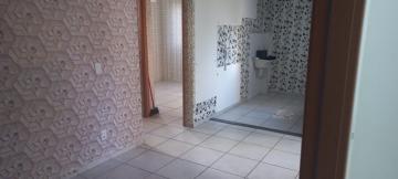 imagem 5 - APARTAMENTO NO JARDIM OURO BRANCO imagem 5 - APARTAMENTO NO JARDIM OURO BRANCO