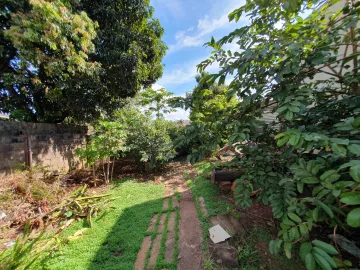 imagem 5 - Casa - Padrão imagem 5 - Casa - Padrão