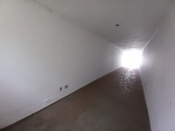 imagem 5 - Comercial padrão - Loja imagem 5 - Comercial padrão - Loja