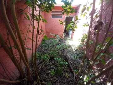 imagem 1 - Comercial padrão - Loja imagem 1 - Comercial padrão - Loja