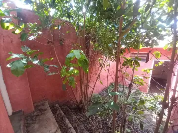 imagem 2 - Comercial padrão - Loja imagem 2 - Comercial padrão - Loja