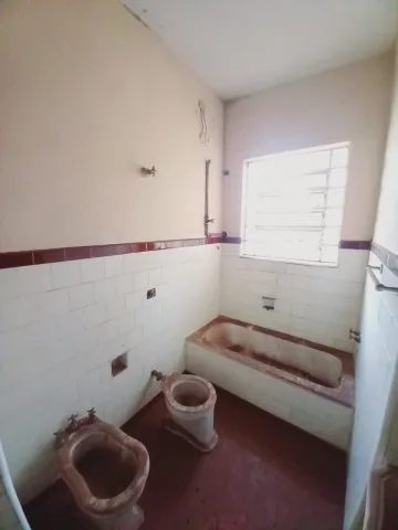 imagem 3 - Comercial padrão - Loja imagem 3 - Comercial padrão - Loja
