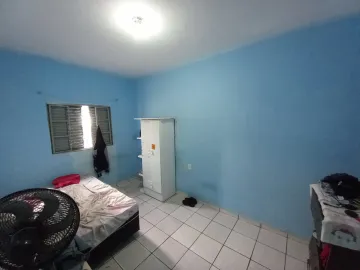 imagem 5 - CASA TÉRREA NO SALGADO FILHO I imagem 5 - CASA TÉRREA NO SALGADO FILHO I