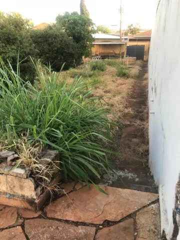 imagem 1 - TERRENO NA RIBERÂNIA imagem 1 - TERRENO NA RIBERÂNIA